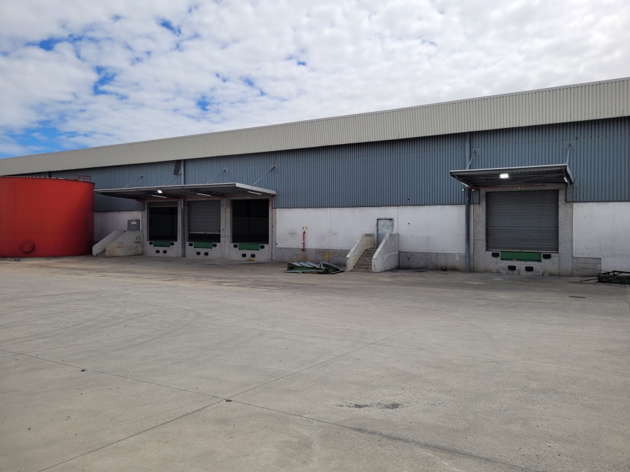 To Let commercial Property for Rent in Montague Gardens Western Cape